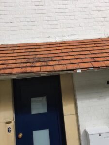 %title | % 106422109 289852819094181 272426693232626754 n 106422109 289852819094181 272426693232626754 n