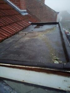 %title | % 83503916 167855094627288 9203995214589460480 n 83503916 167855094627288 9203995214589460480 n